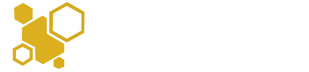 Buz Digital LLC